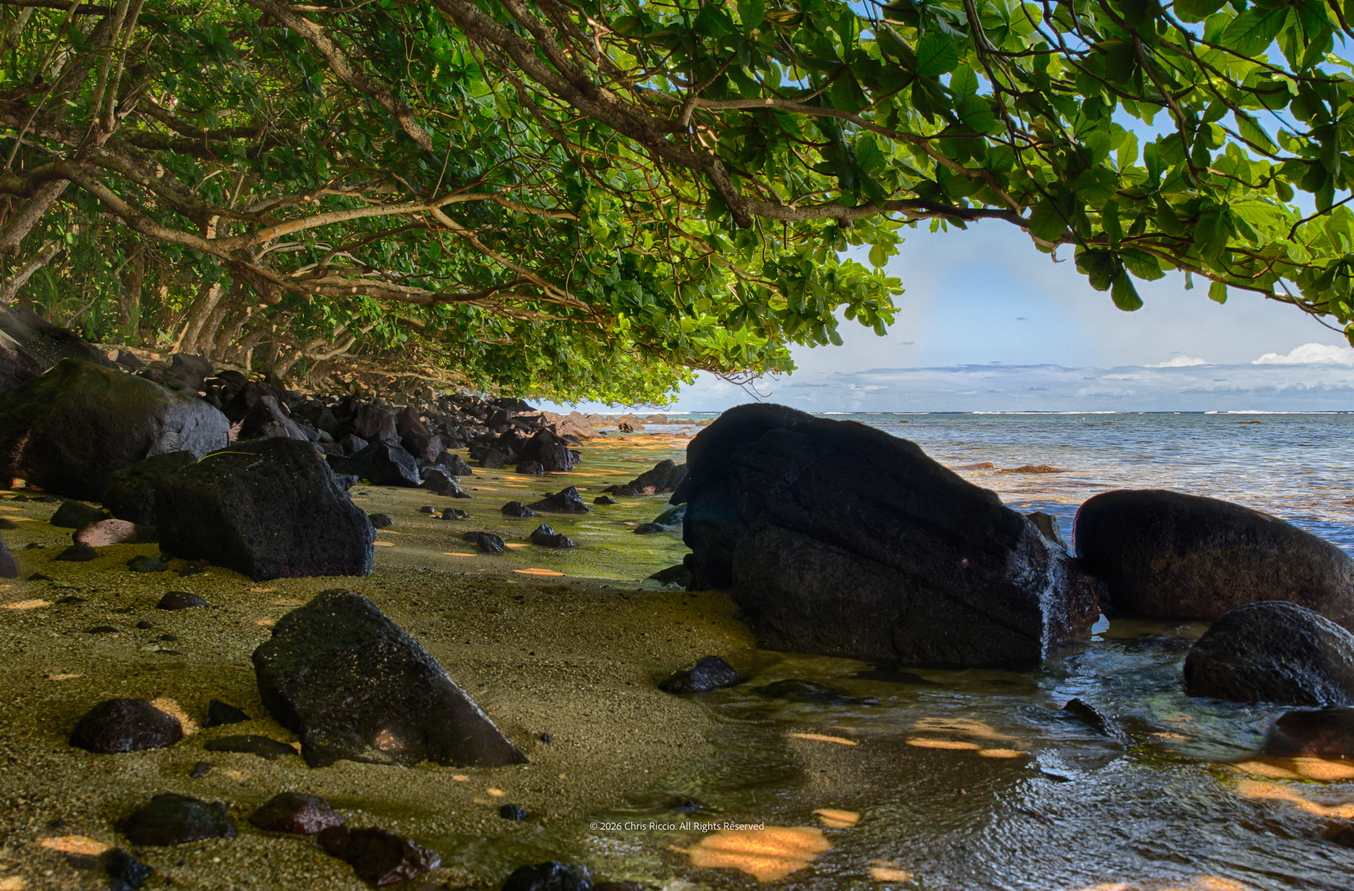 Kauai Rocky Beach